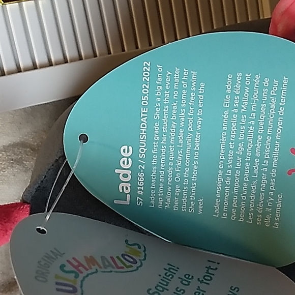 Ladee Ladybug "Friends" Original Squishmallows 10 x 9 inches 5.2.2022 Squishdate - Picture 4 of 5